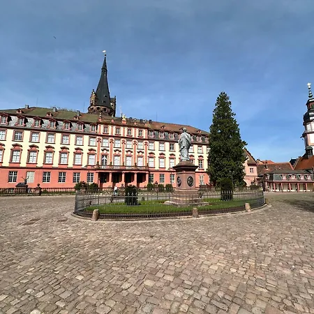 公寓 Joelle Mit Sauna, Schwimmteich Und Gym 埃尔巴赫