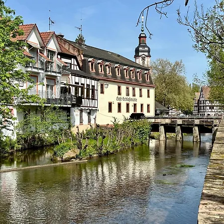 Joelle Mit Sauna, Schwimmteich Und Gym Erbach (Odenwaldkreis)