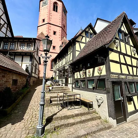 Appartement Joelle Mit Sauna, Schwimmteich Und Gym Erbach (Odenwaldkreis)