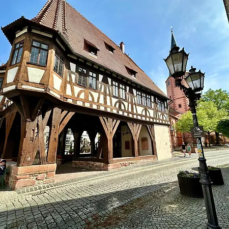 Appartement Joelle Mit Sauna, Schwimmteich Und Gym Erbach (Odenwaldkreis)