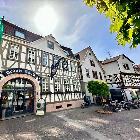 Joelle Mit Sauna, Schwimmteich Und Gym Erbach (Odenwaldkreis)
