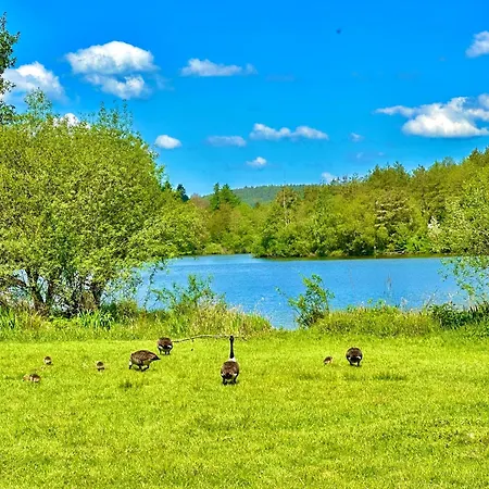 Joelle Mit Sauna, Schwimmteich Und Gym * Erbach (Odenwaldkreis)