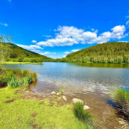 Joelle Mit Sauna, Schwimmteich Und Gym * 埃尔巴赫