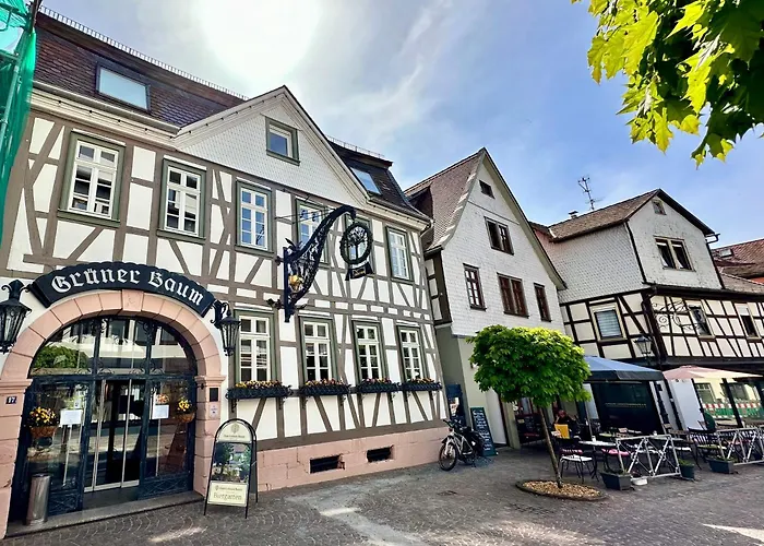 Joelle Mit Sauna, Schwimmteich Und Gym 埃尔巴赫