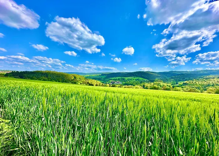Joelle Mit Sauna, Schwimmteich Und Gym 公寓 *