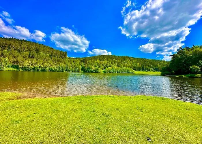 Joelle Mit Sauna, Schwimmteich Und Gym 公寓