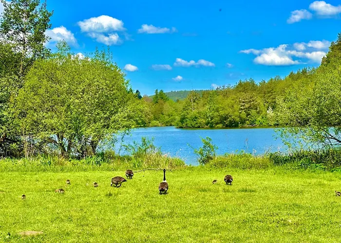 Joelle Mit Sauna, Schwimmteich Und Gym * 埃尔巴赫